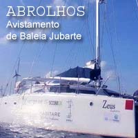 Baleias Jubarte em Abrolhos - Passeios, Sa&iacute;das