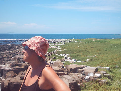 Turista percorrendo a trilha
