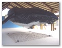 Centro de Visitas. Instituto baleias Jubarte em Caravelas