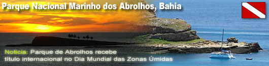 Abrolhos mergulho Bahia