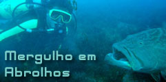 Mergulho em Abrolhos