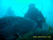 Abrolhos fotos - Mergulho em Abrolhos