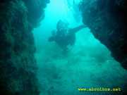 Abrolhos fotos - Mergulho em Abrolhos