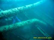 Abrolhos fotos - Mergulho em Abrolhos