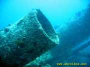 Abrolhos fotos - Mergulho em Abrolhos