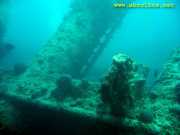 Abrolhos fotos - Mergulho em Abrolhos