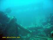 Abrolhos fotos - Mergulho em Abrolhos