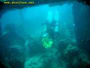 Abrolhos fotos - Mergulho em Abrolhos