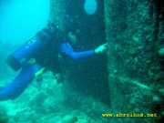 Abrolhos fotos - Mergulho em Abrolhos
