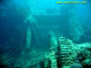 Abrolhos fotos - Mergulho em Abrolhos