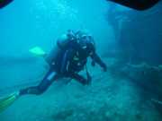 Abrolhos fotos - Mergulho em Abrolhos