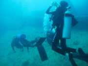 Abrolhos fotos - Mergulho em Abrolhos