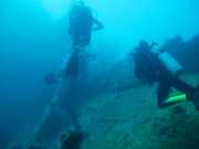 Abrolhos fotos - Mergulho em Abrolhos