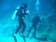 Abrolhos fotos - Mergulho em Abrolhos