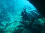 Abrolhos fotos - Mergulho em Abrolhos