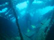 Abrolhos fotos - Mergulho em Abrolhos