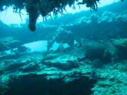 Abrolhos fotos - Mergulho em Abrolhos