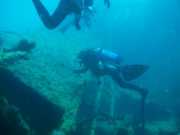 Abrolhos fotos - Mergulho em Abrolhos