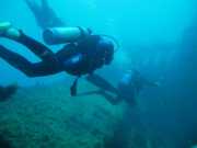 Abrolhos fotos - Mergulho em Abrolhos