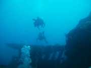 Abrolhos fotos - Mergulho em Abrolhos