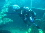 Abrolhos fotos - Mergulho em Abrolhos