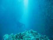 Abrolhos fotos - Mergulho em Abrolhos
