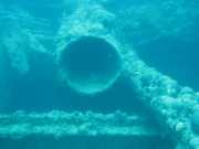 Abrolhos fotos - Mergulho em Abrolhos