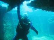 Abrolhos fotos - Mergulho em Abrolhos