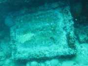 Abrolhos fotos - Mergulho em Abrolhos