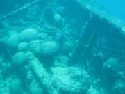 Abrolhos fotos - Mergulho em Abrolhos