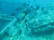 Abrolhos fotos - Mergulho em Abrolhos