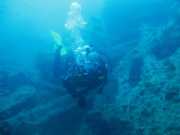 Abrolhos fotos - Mergulho em Abrolhos