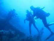 Abrolhos fotos - Mergulho em Abrolhos