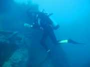Abrolhos fotos - Mergulho em Abrolhos