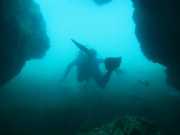 Abrolhos fotos - Mergulho em Abrolhos