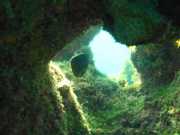Abrolhos fotos - Mergulho em Abrolhos