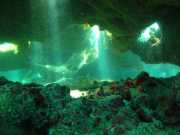 Abrolhos fotos - Mergulho em Abrolhos