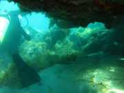 Abrolhos fotos - Mergulho em Abrolhos