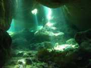 Abrolhos fotos - Mergulho em Abrolhos