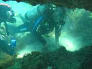 Abrolhos fotos - Mergulho em Abrolhos