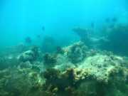 Abrolhos fotos - Mergulho em Abrolhos