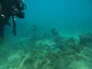 Abrolhos fotos - Mergulho em Abrolhos