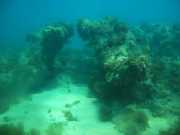 Abrolhos fotos - Mergulho em Abrolhos