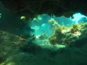 Abrolhos fotos - Mergulho em Abrolhos