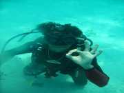 Abrolhos fotos - Mergulho em Abrolhos