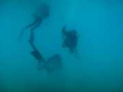 Abrolhos fotos - Mergulho em Abrolhos