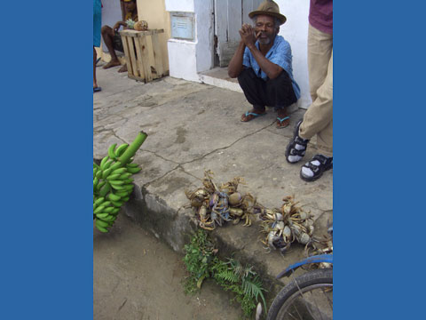 vida cotidiana em Nova Viçosa