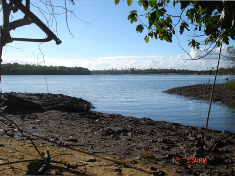 Manguezal Ilha da Cassumba - Nova Viçosa