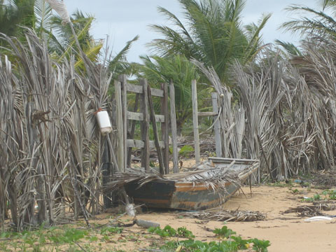 Casa dos Gobira - Ponta da Baleia - Ano 2005