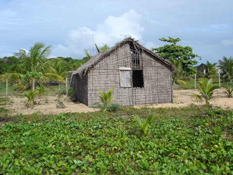 Barraca na Praia Ponta da Baleia